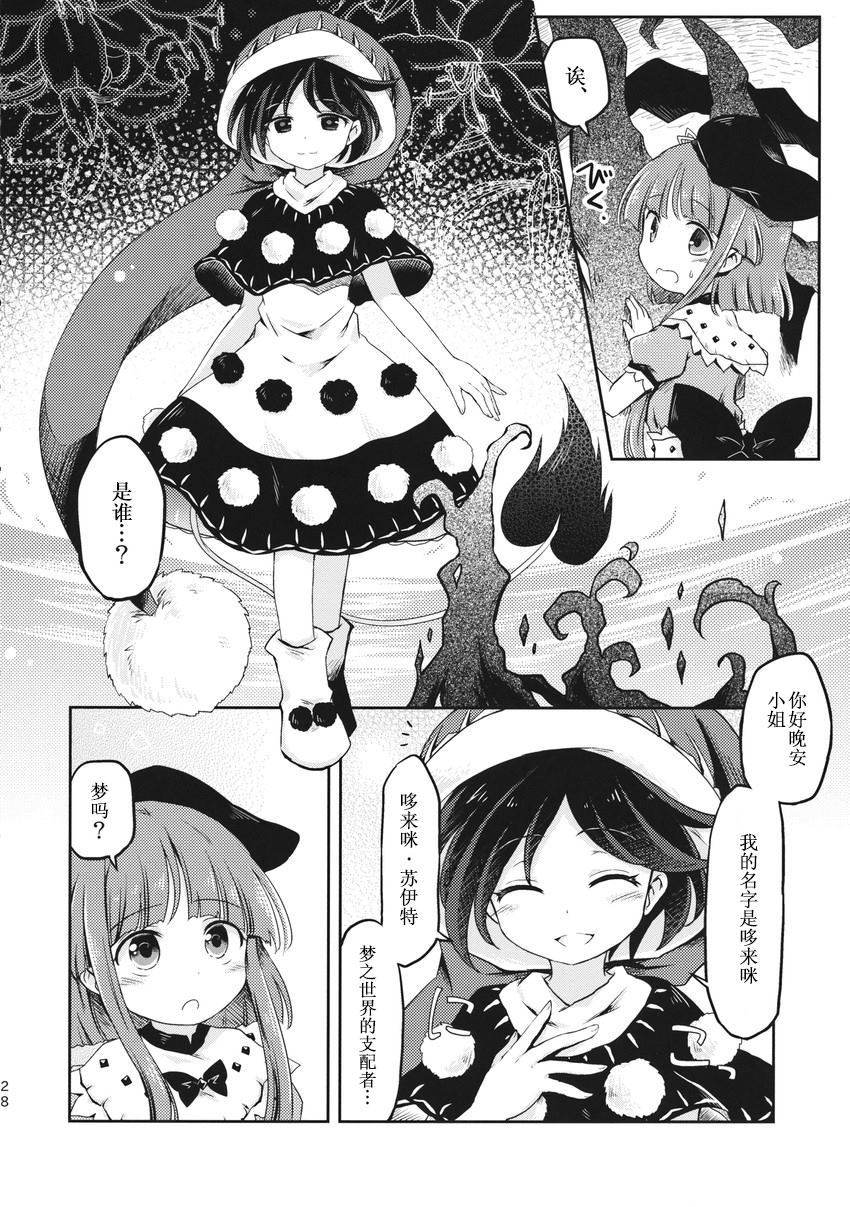 第27页