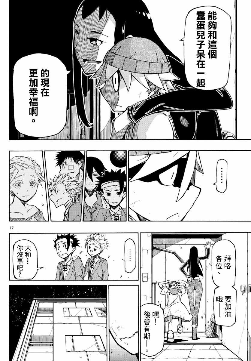 第17页