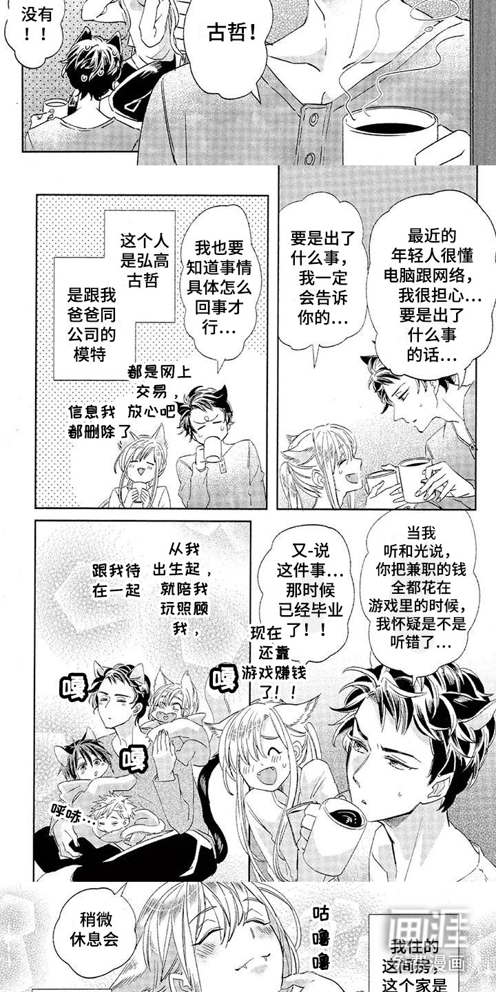 第3页