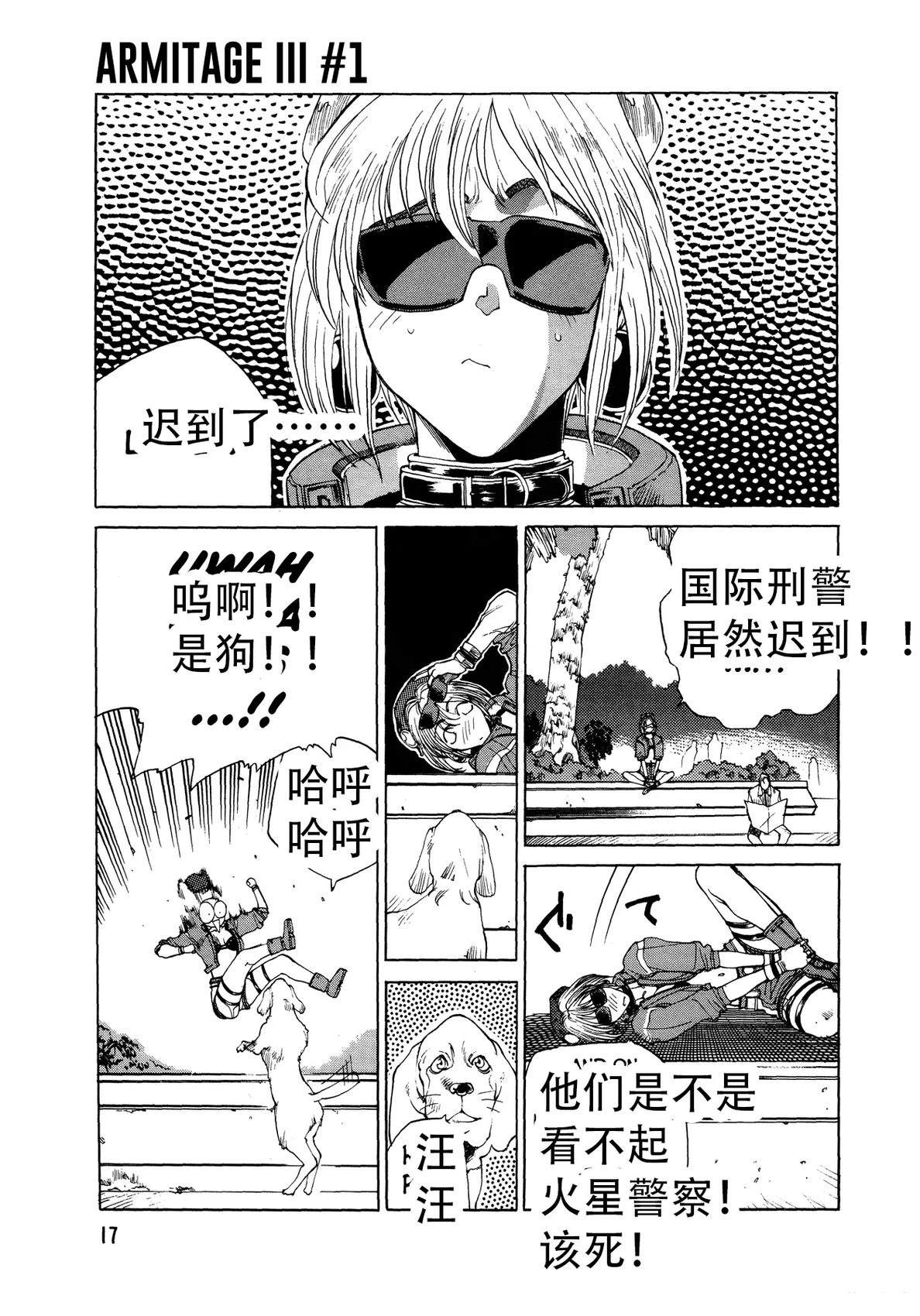 第17页