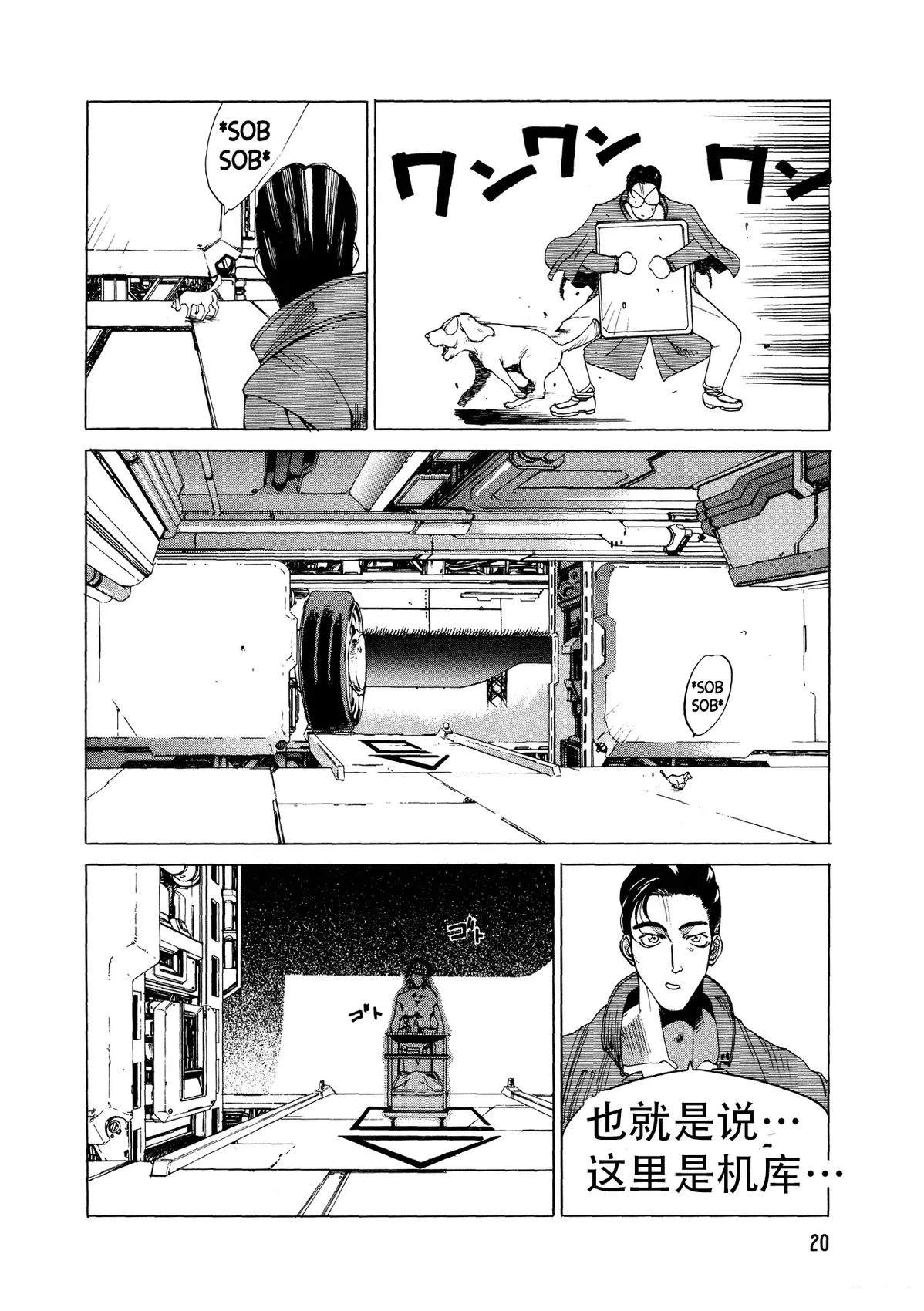 第20页